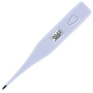 (Lot of 300) FEI 12-2300 Digital Thermometers